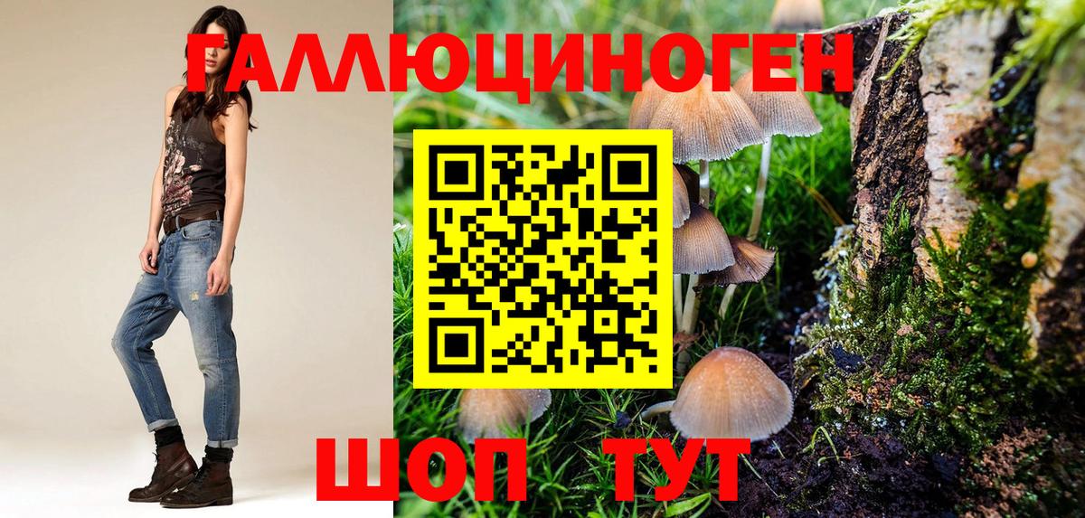 Галлюциногенные грибы Magic Shrooms  Псилоцибиновые грибы прущие грибы  Избербаш 
