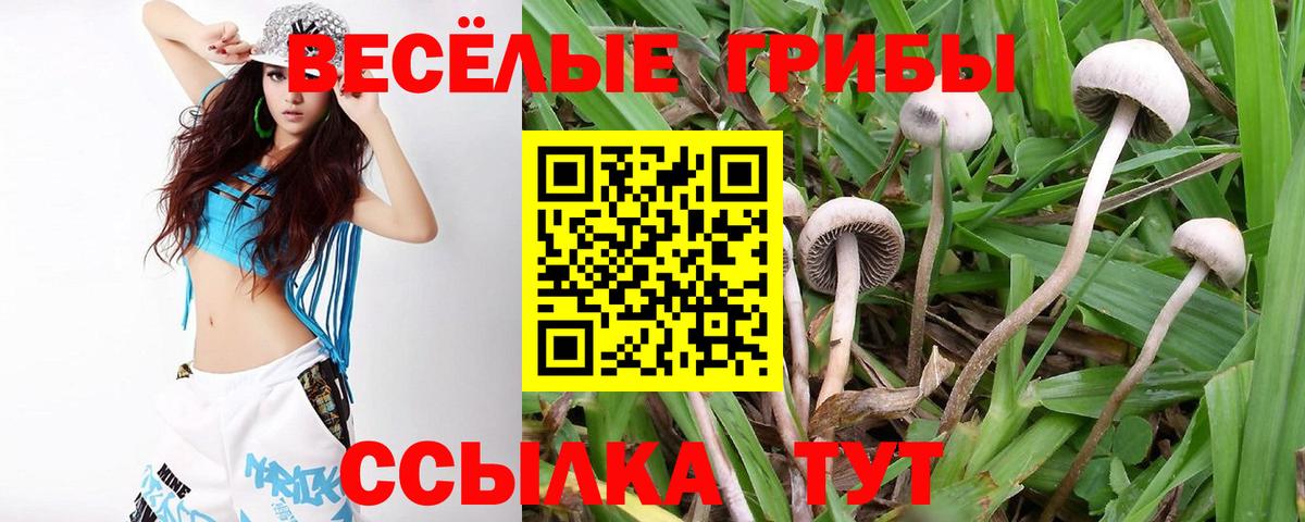 Псилоцибиновые грибы Psilocybe  Псилоцибиновые грибы Psilocybine cubensis  Избербаш  Вход с VPN 