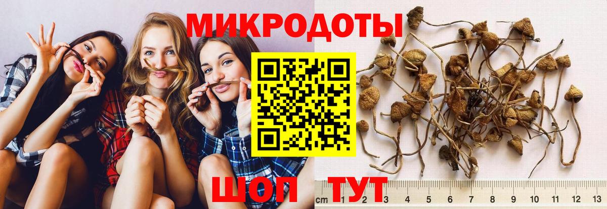 Псилоцибиновые грибы ЛСД Избербаш